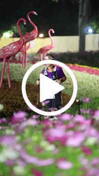 BIB:  <button type="button" onclick="openModal(27589996)" class="btn btn-primary btn-sm float-right" data-toggle="modal" data-target=".modal-high-quality">
                <i class="fa fa-download"></i> Download
                </button>